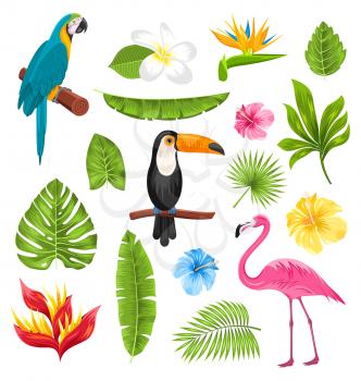 Illustration Set Tropical Flowers, Exotic Birds and Plants. Collection Elements Isolated on White Background - Vector