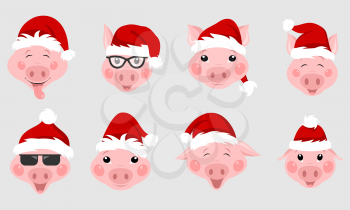 Set of Christmas Pigs with Santa Hats. Symbol New Year - Illustration Vector