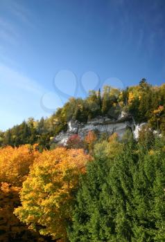 Royalty Free Photo of Autumn Trees