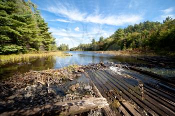 Carpenter Lake clear water vista