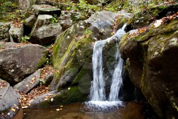 Royalty Free Photo of a Small Waterfall in the Forest