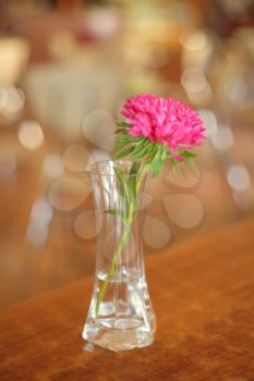 Flower on a table in the glass bottle