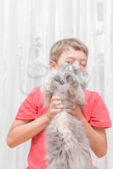 boy in red shirt with a cat indoors