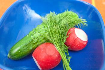 Radish, cucumber in blue bowl