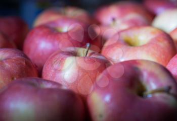 Many fresh natural organic apples candid shot.