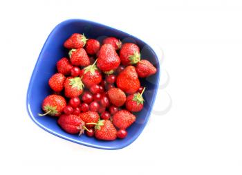 Strawberries in a Bowl, on the light background