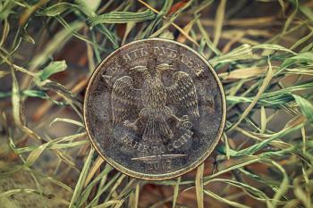 Used bronze Russian ruble coin is lying on drying grass. Russian 10-roubles coin with state eagle seal and words - Bank of Russia 2012 - in focus.