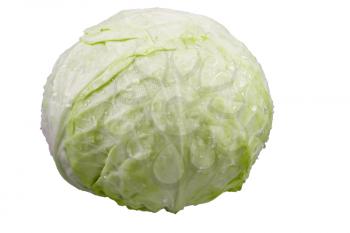Royalty Free Photo of Cabbage