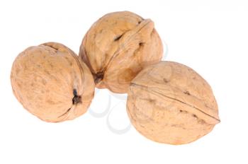ripe walnuts isolated on white background