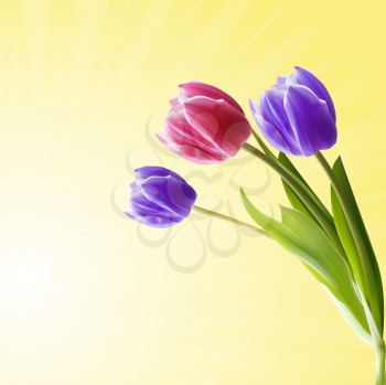 Royalty Free Clipart Image of Tulips