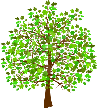 Royalty Free Clipart Image of a Spring Tree