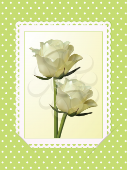 roses on white postcard slotted into a green polka dot background