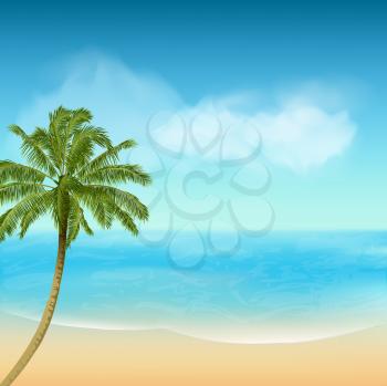 Tropical Palm Tree and Beach Landscape
