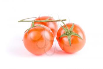 Royalty Free Photo of Ripe Tomatoes 