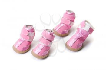 Royalty Free Photo of Pink Dog Boots