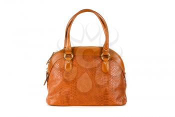 Royalty Free Photo of a Brown Leather Handbag