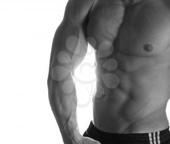 Black and white muscular male torso of bodybuilder on white background