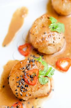 Close up Scallop seafood appetizer with spices