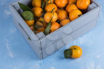 Fresh tangerines in box with leaves on blue concrete background.
