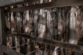 Smoked fish production concept: smoked fish in smokehouse box.