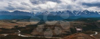 Maral deer in Kurai steppe and North-Chui ridge of Altai mountains, Russia. Cloud day. Panoramic picture