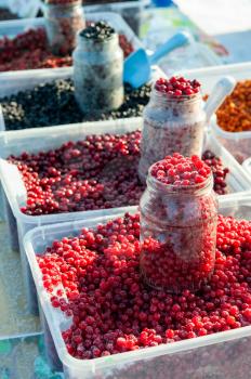 Frozen red berry fruits at local market in Altai, Russia