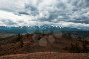 Maral in Kurai steppe and North-Chui ridge of Altai mountains, Russia. Cloud day.