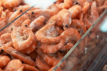 Frozen Shrimps in a supermarket closeup photo