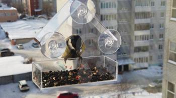 Tits fly to the feeder with seeds. Concept of feeding birds in winter. Feeder on the window of the house. Slowmo video