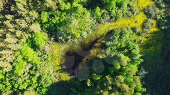 Aerial drone video of summer june landscape