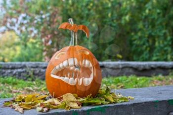 Halloween pumpkin on leaves background