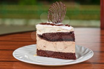 tasty piece of chocolate cake closeup