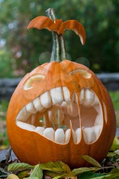 Halloween pumpkin on leaves background