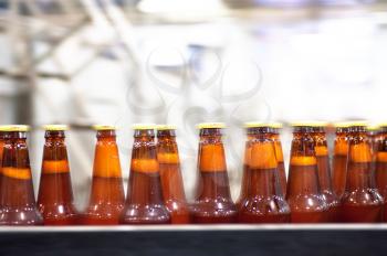 Beer bottles on the conveyor belt 