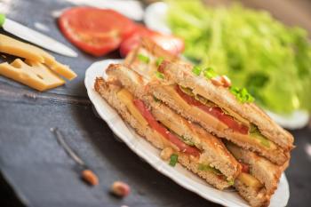 Cheese sandwich with tomato and green lettuce