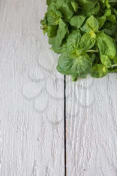 Fresh peppermint on wood texture
