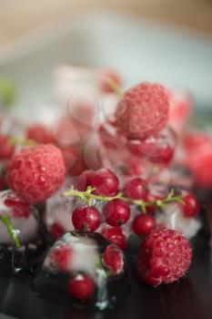 Fresh frozen berries raspberry and red currant