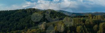 Herd of sheep in the forest and mountains, morning, Siberia, Russia