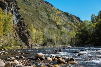 Fast mountain river with the purest water in Altay mountains, Siberia, Russia