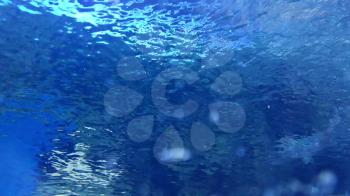 Underwater world in aquarium of oceanarium