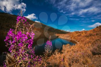 Autumn lake in the Altai Mountains, Siberia