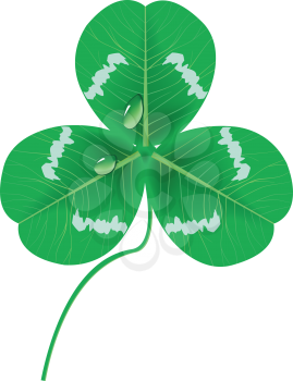 Royalty Free Clipart Image of a Clover