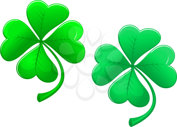 Green lucky clover isolated on white background for ecology design