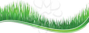 Green grass wave for spring or nature design