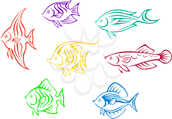 Set of seven colorful aquarium fishes isolated on white background