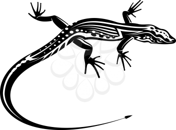 Black lizard with natural decorative ornament for tattoo