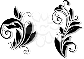 Floral design elements and shapes on white background