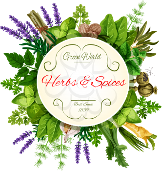 Fresh herbs and spices round label. Green mint, basil, thyme, parsley, garlic, onion, dill, fennel, nutmeg, celery, sorrel leaf, lavender and poppy flowers frame with copy space for food design