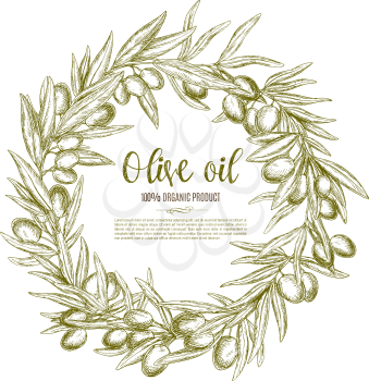 Olive branch wreath sketch label for natural organic olive oil. Branches of olive tree with fruit and leaf arranged into a round frame with copy space in center. Healthy food themes design