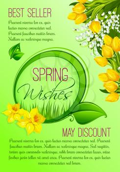 Spring Sale vector poster with springtime May discount promo for holiday shopping. Wishes template and flowers design of blooming yellow tulips and lily of valley bouquets and blossoms